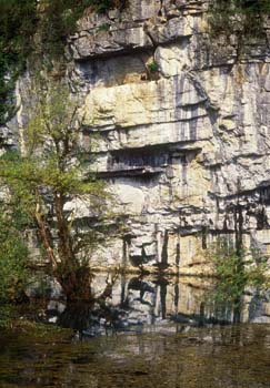 Krupa v Beli krajini - obrnimo se k izviru!