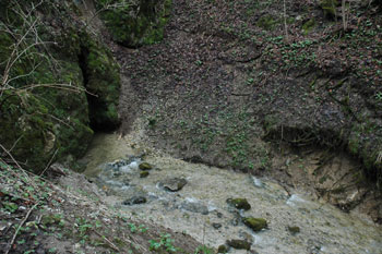Kraško polje pri Malih Laščah