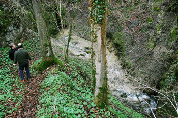 Kraško polje pri Malih Laščah