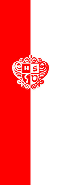 Braslovče - zastava