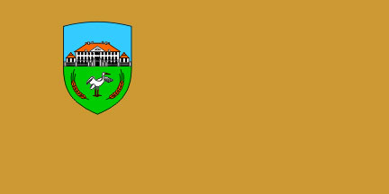 Dornava - zastava