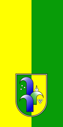 Radenci - zastava