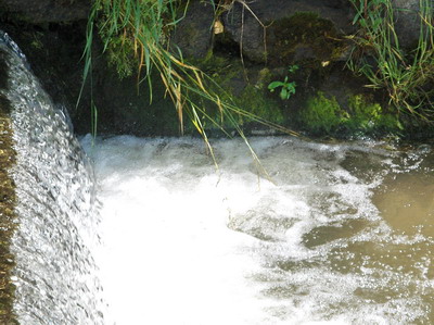 blogi 420 svetlana 334 Fram