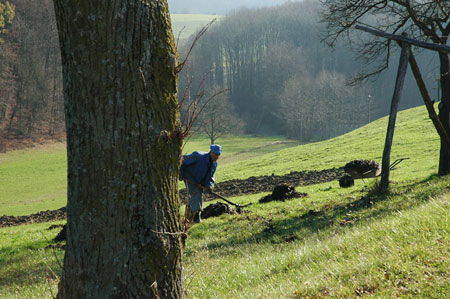 Jesensko opravilo Trikraljevčana