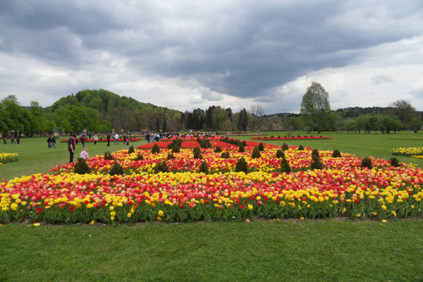 blogi 80 Volcji potok tulipani Razstava dinozavrov v Arboretumu Volčji Potok